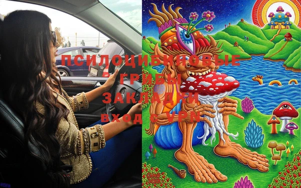 марки lsd Алзамай