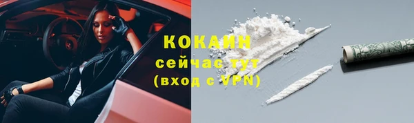 шишки Абдулино