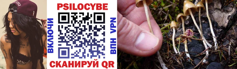 Галлюциногенные грибы Cubensis  сколько стоит  Канск 