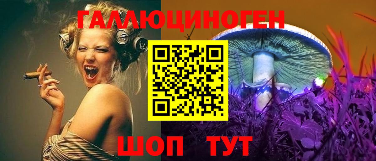 Псилоцибиновые грибы Cubensis  Вход с VPN  Канск  Галлюциногенные грибы Psilocybe 